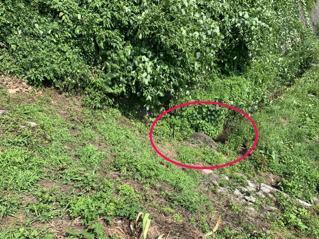 【マルトミ不動産】と検索して下さい!