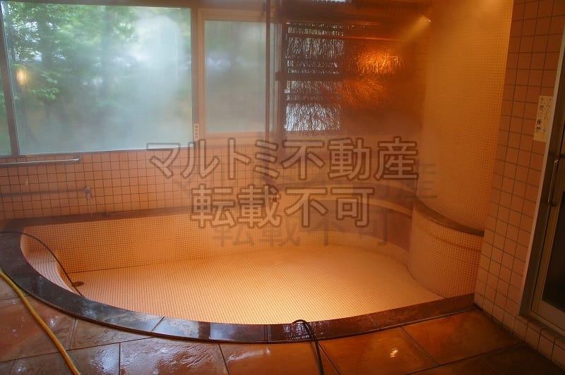 館内の天然温泉大浴場