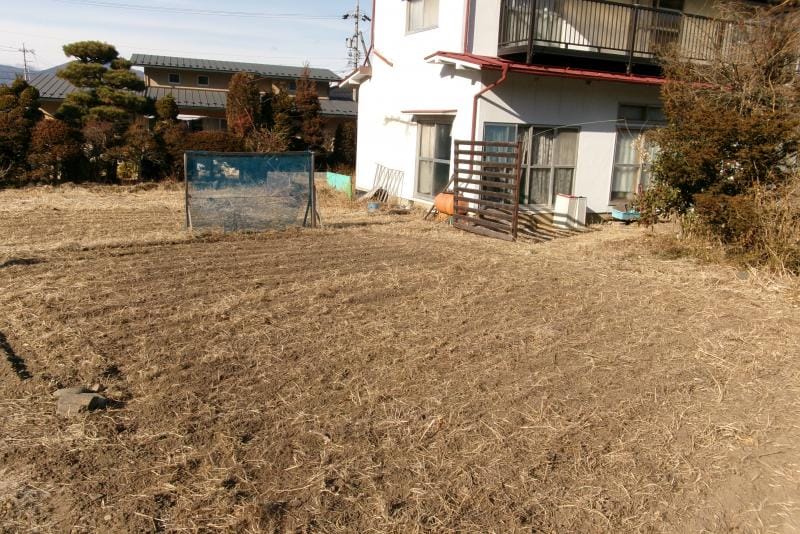 現地写真