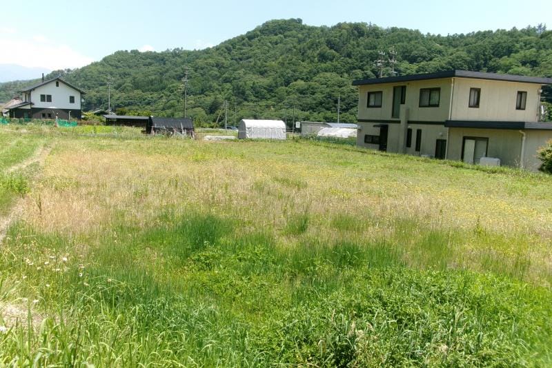 現地写真