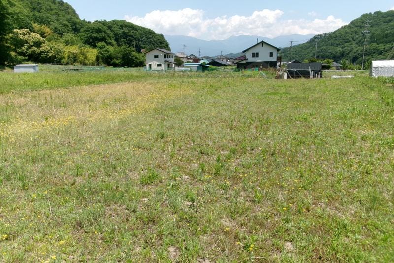 現地写真