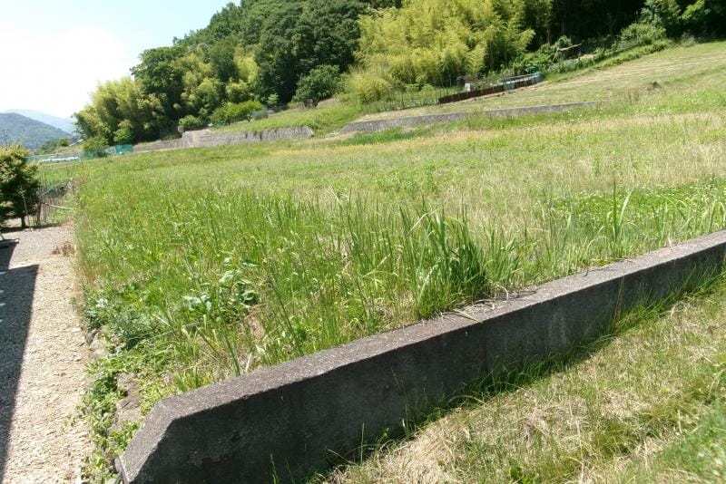 現地写真