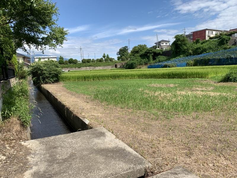 現地写真