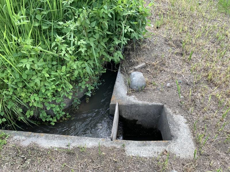 現地写真