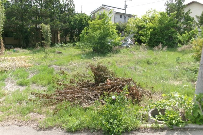 現地写真