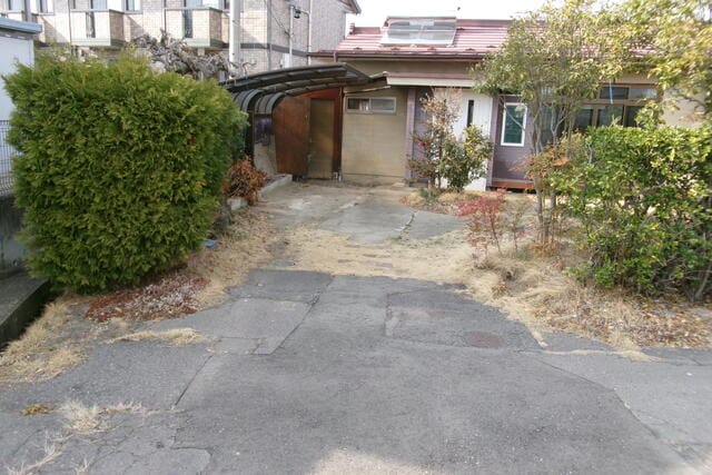 現地写真