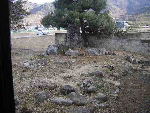 南側の庭