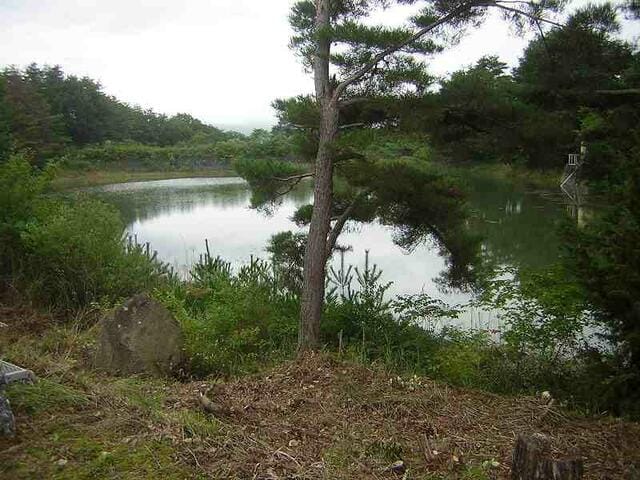 白樺池