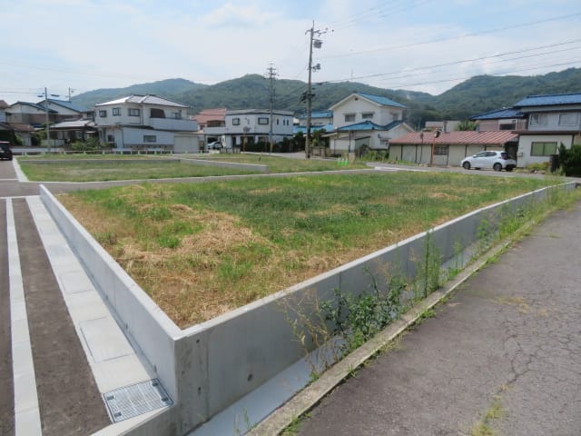 3号地