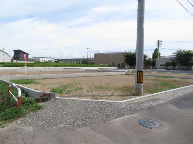 1号地