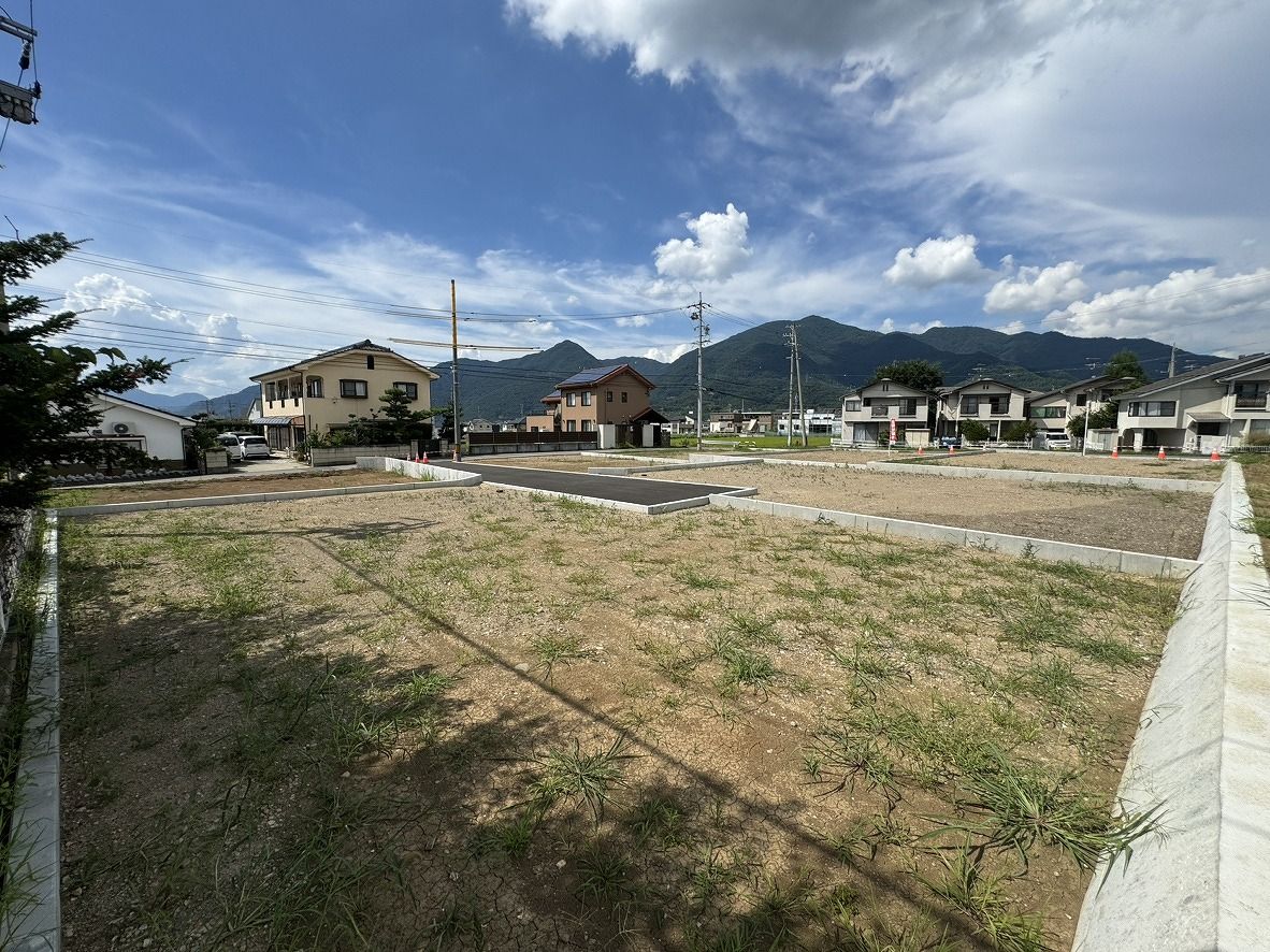 5号地