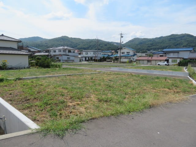 全景(1号地)