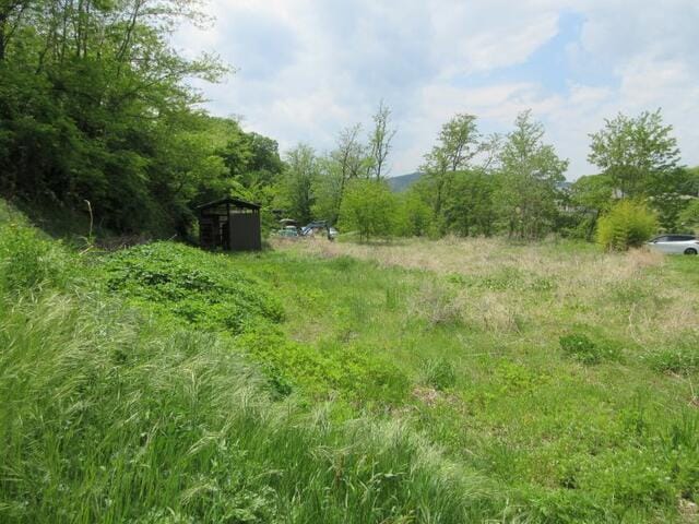 現地写真