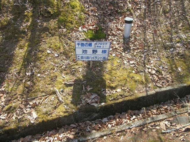 現地写真
