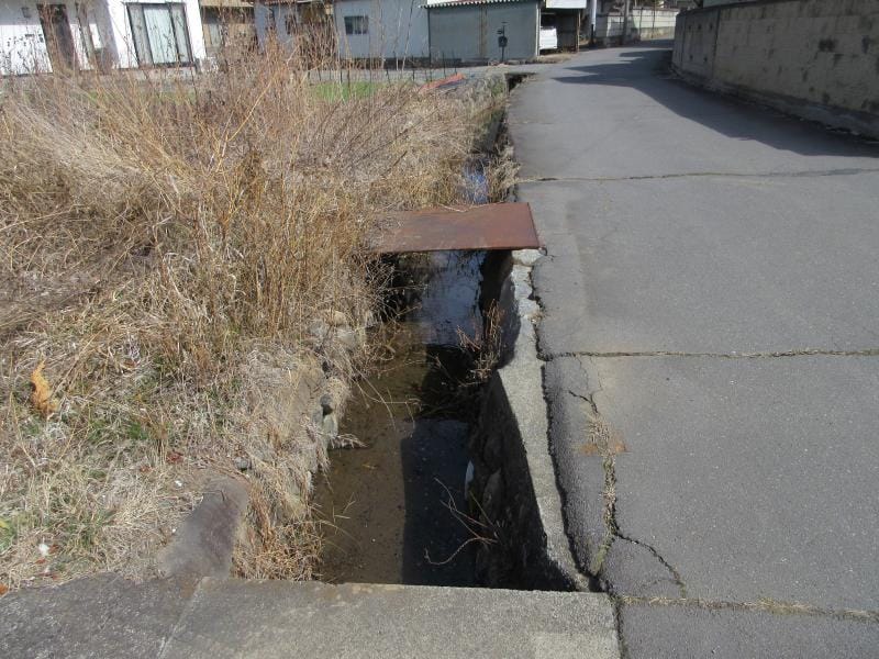 現地写真