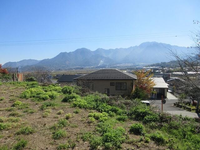 現地写真
