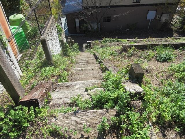 現地写真