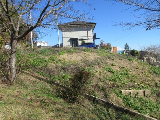 現地写真