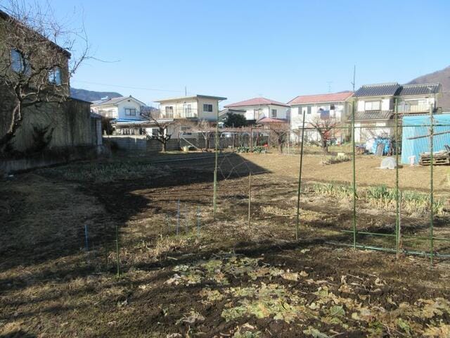 現地写真