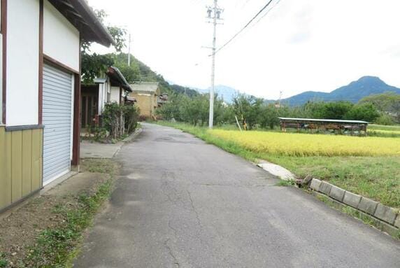 現地写真