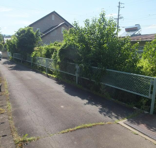 南側道路