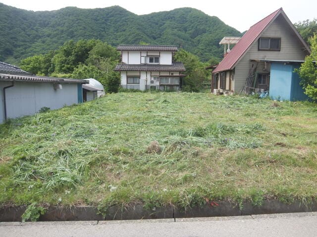 北側道路から敷地を見る