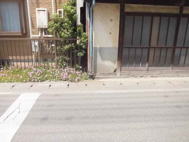 西側隣地境界