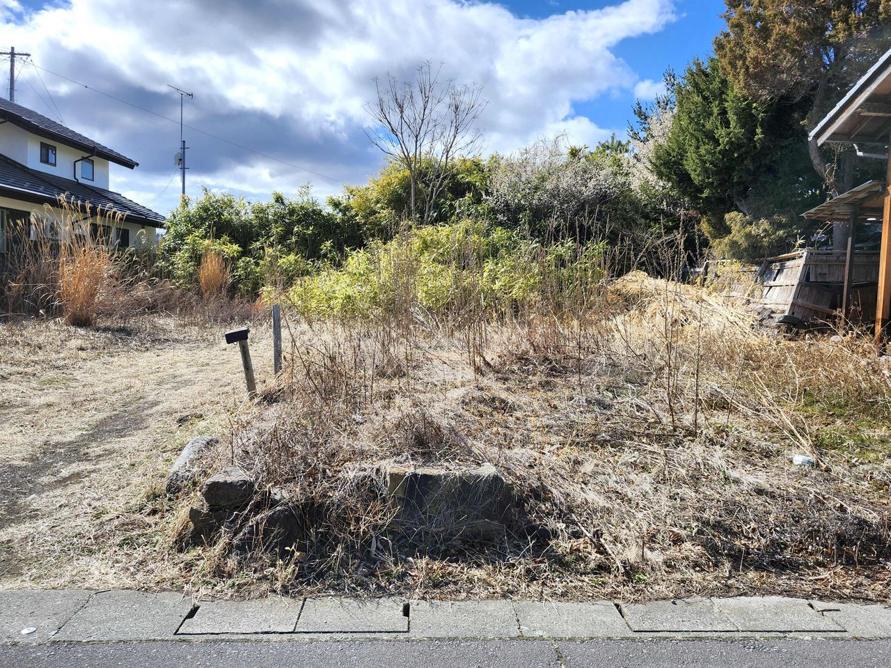 入口真ん中あたりは石が埋まっています