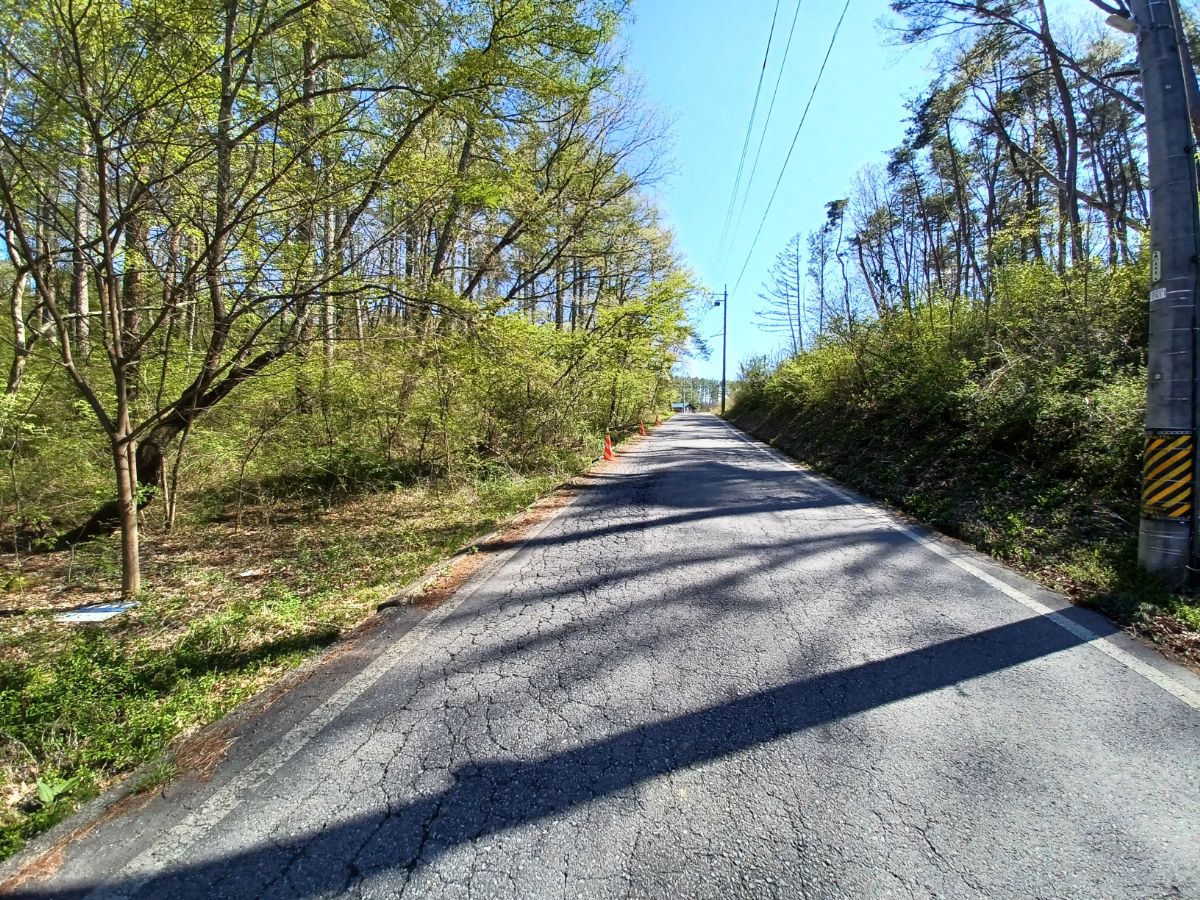 前面道路南向き。佐久・立科方面へ続きます