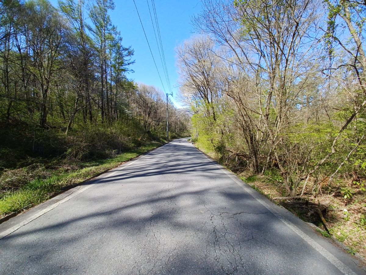 前面道路北向き。千曲ビューラインまで300mほど