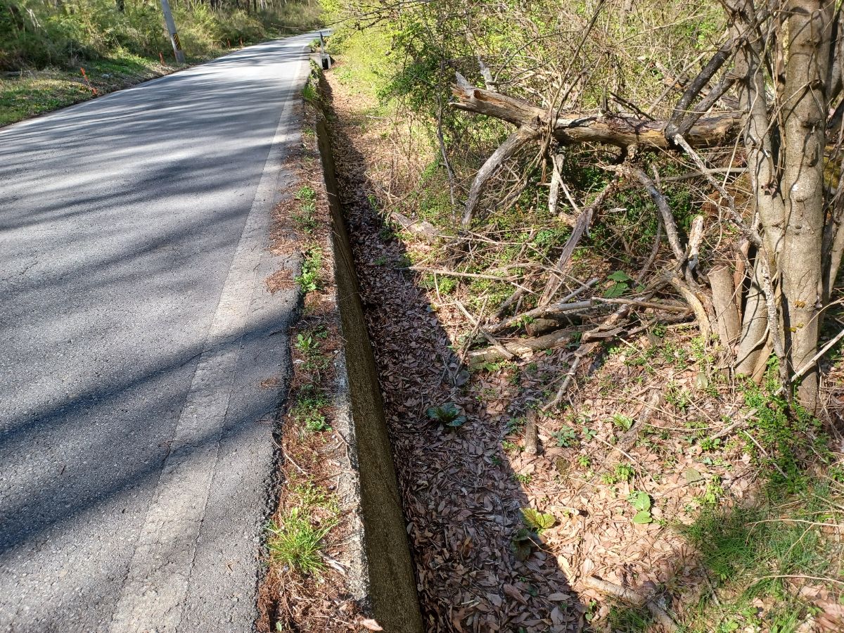 前面道路とは80cmほどの高低差があります