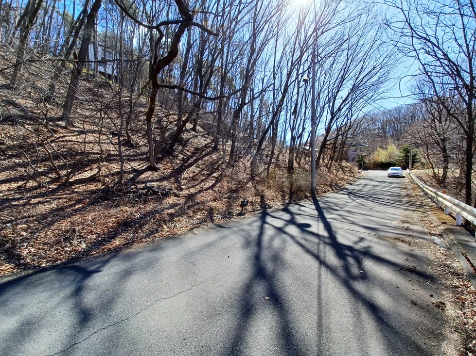 前面道路南向き。しっかりと整備されています