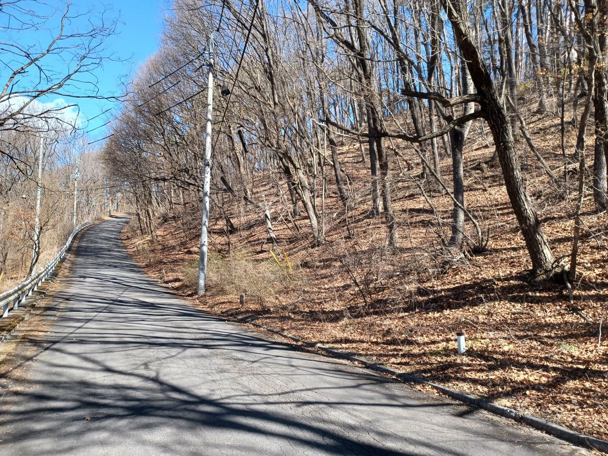 前面道路北向き。別荘地入口方面へ続きます
