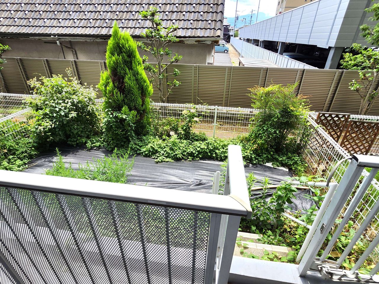 専用庭へはバルコニーから直接入れます。