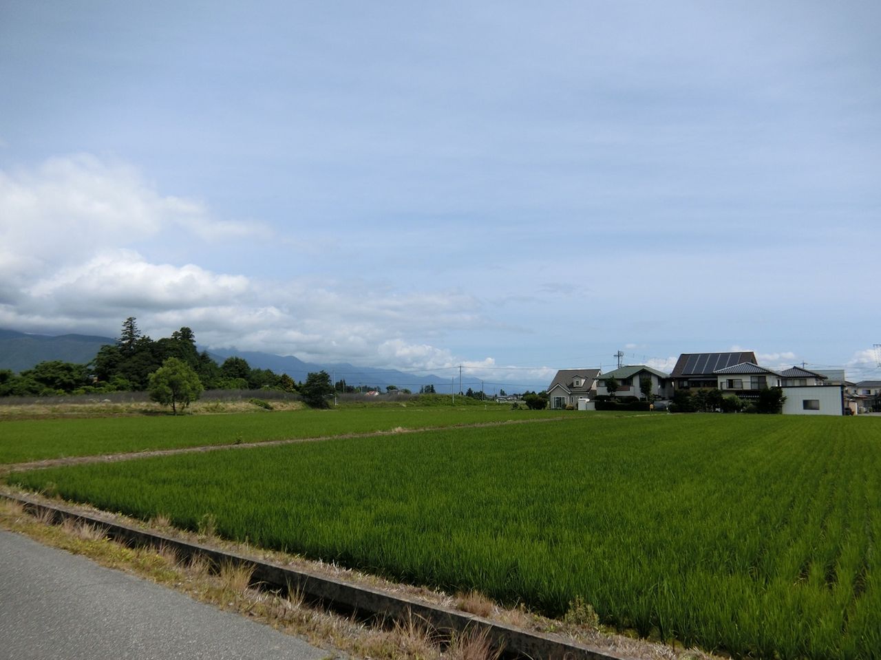 北側②