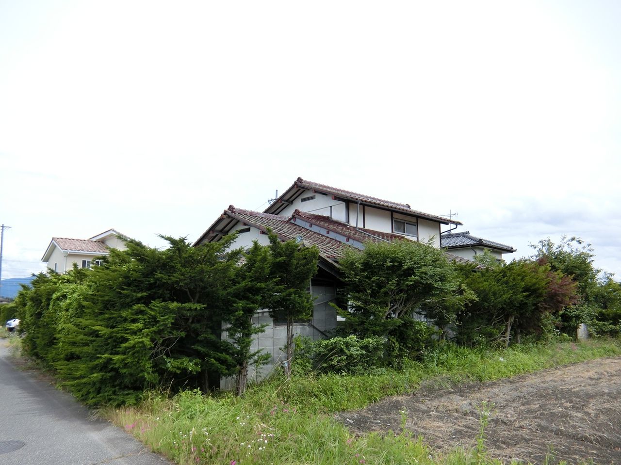 全体②