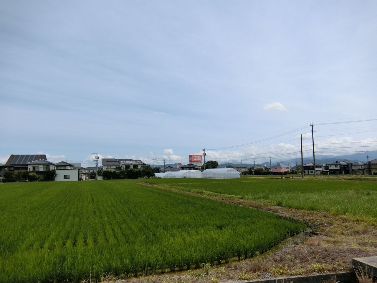 北側①
