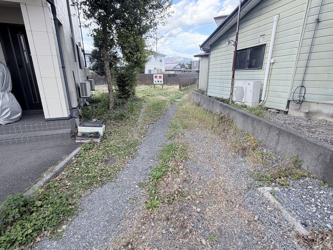 写真3