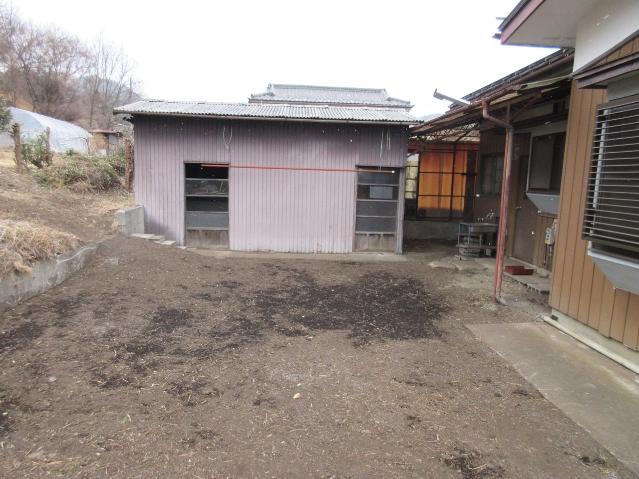 裏庭(家庭菜園可能です!)