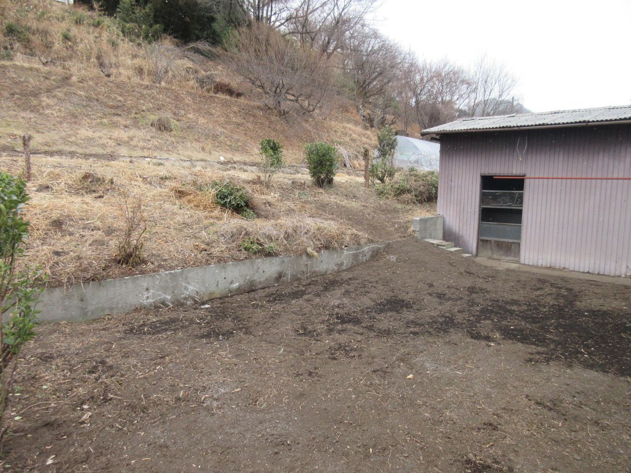 裏庭(家庭菜園可能です!)