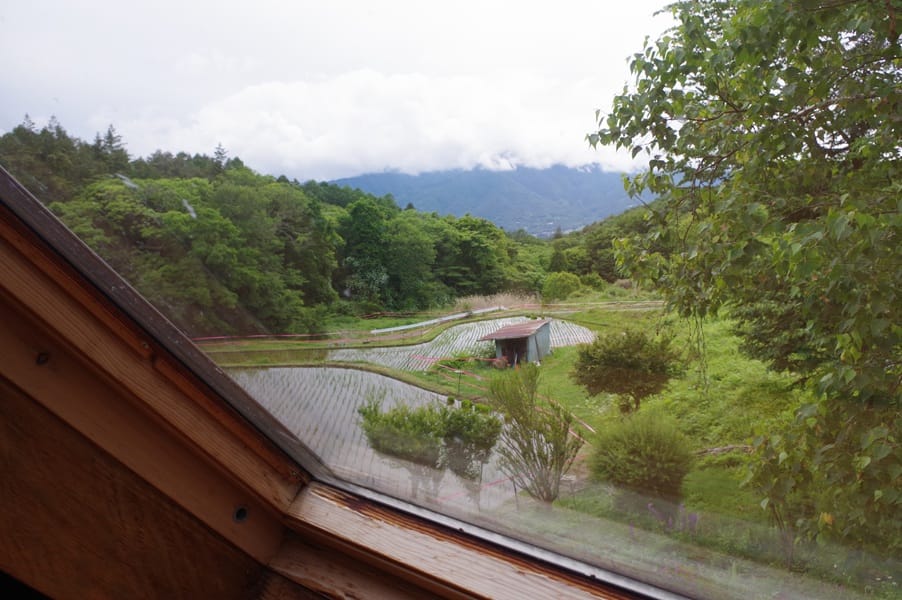 主賓室の天窓からの風景。