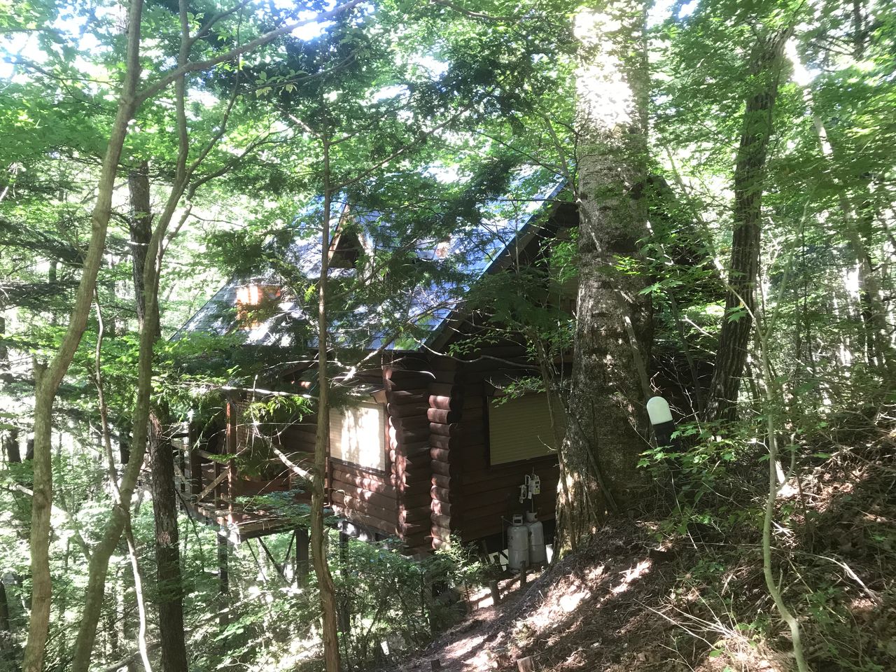 自然林の中に建つログハウス