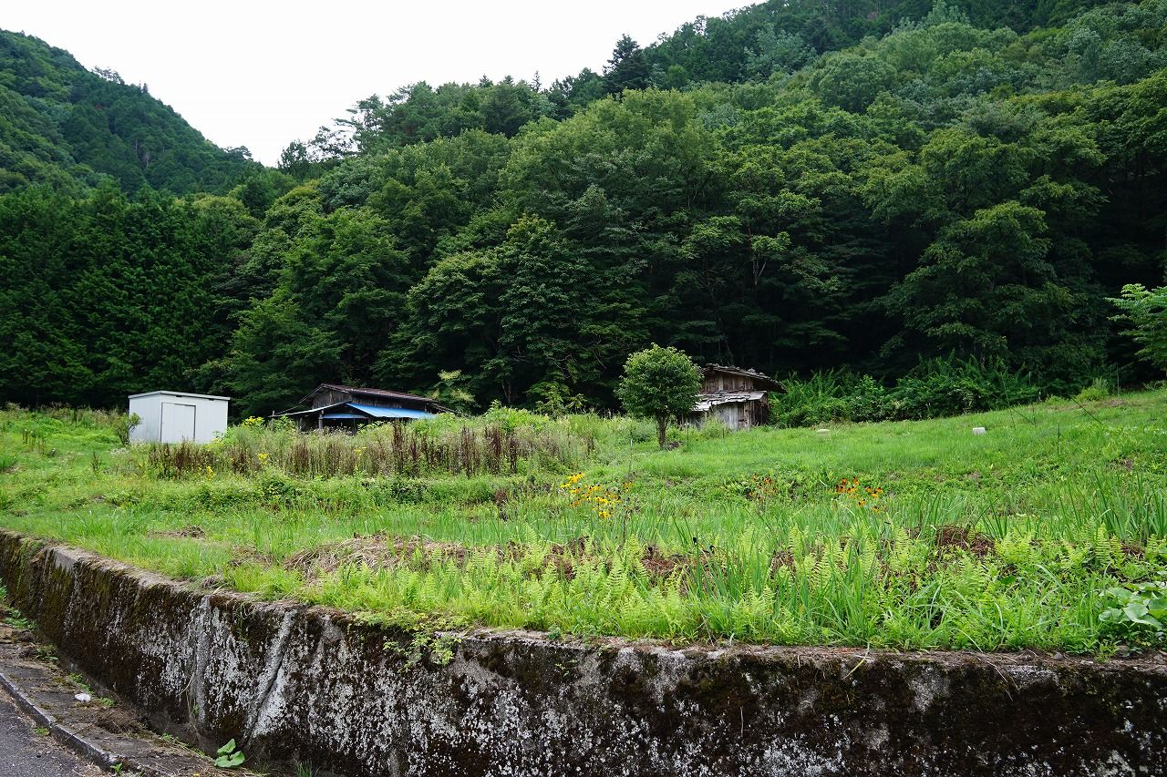 付属の畑