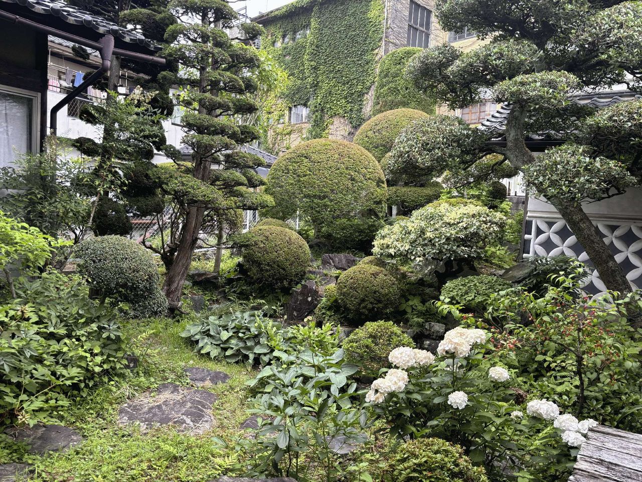 庭