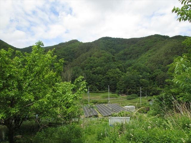 畑からの眺望