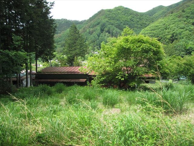 東側より(地続きの畑と家)