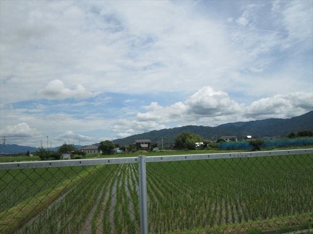 離れから見る周りは田園風景
