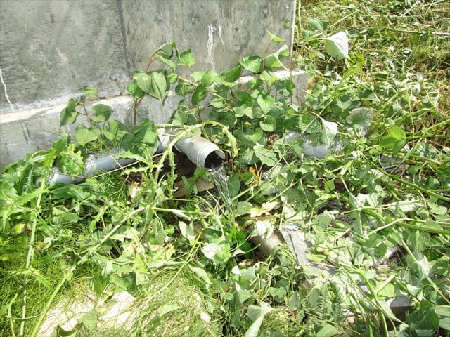 敷地内にある湧き水