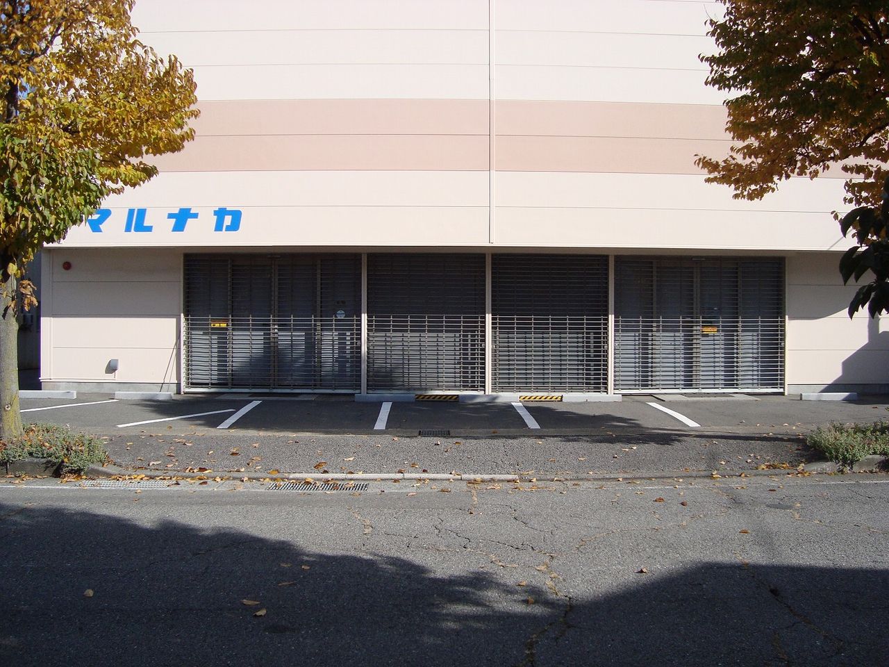 西側からの写真