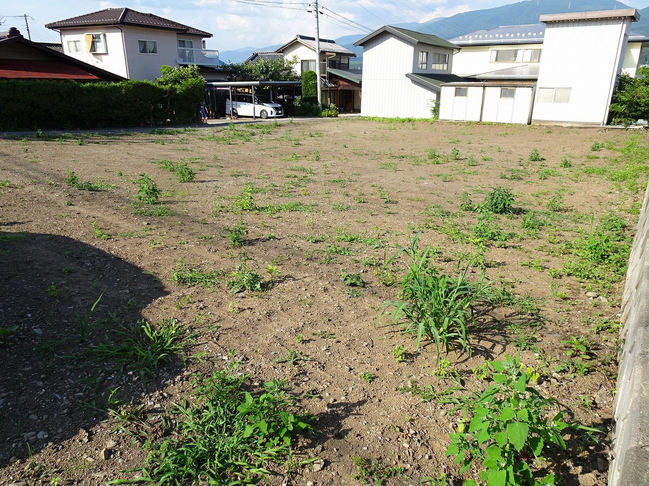 南西側より